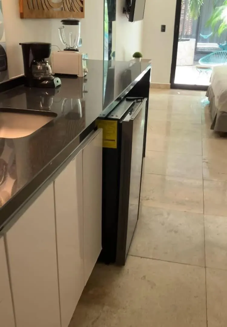 Central Playa Del Carmen Master Suite With Rooftop Pool And Gym Wifi Free Parking Near Beach Apartmán